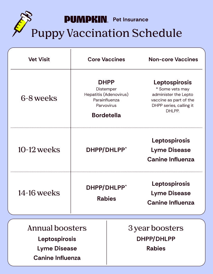Pumpkin Pet Insurance puppy vaccination schedule infographic listing vet visit ages, core and non-core vaccines on a blue background.