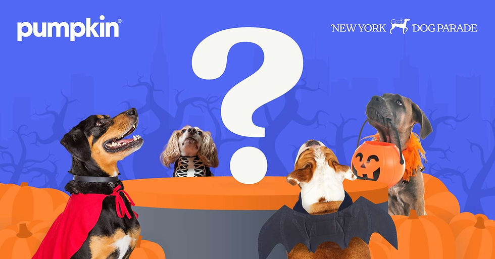 A Big Surprise Awaits at NYC’s Tompkins Square Halloween Dog Parade