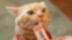Orange tabby cat licking a treat from a tube labeled "INABA Churu" The cat looks curious and content. 