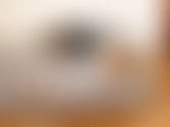 dog with parvo sleeping on bed