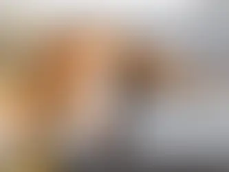 dog laying on couch with heart murmur