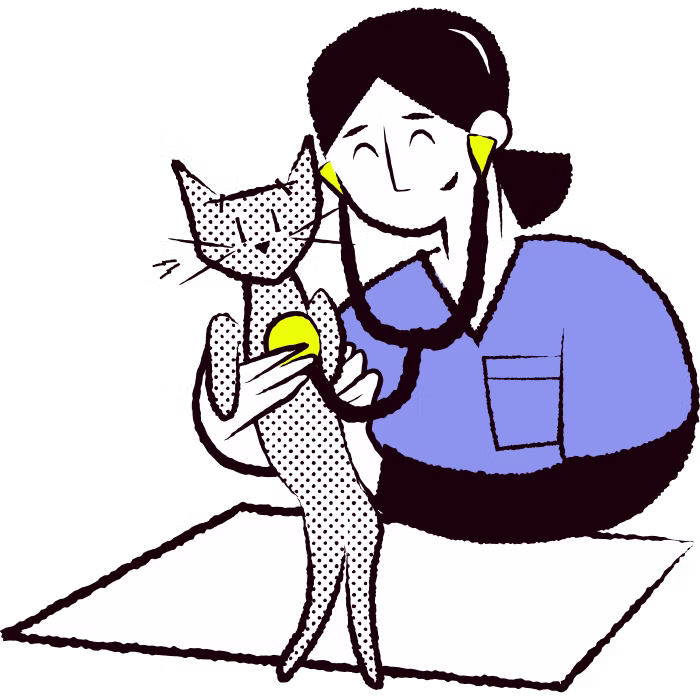 illustration of a veterinarian checking the heart of a kitten with a stethoscope