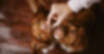 Two puppies with brown fur eagerly sniff a treat held by a hand on a wooden floor, creating a warm and expectant mood.