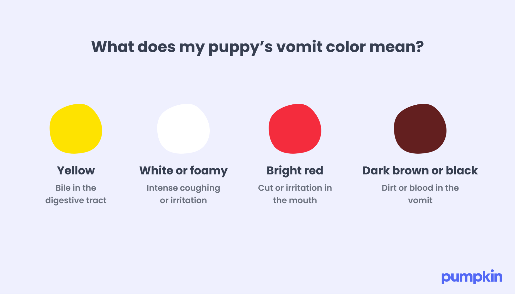 Infographic titled "What does my puppy’s vomit color mean?" shows yellow, white, red, and brown colors with related health indicators. Yellow - Bile in the digestive tract. White or Foamy - Intense coughing or irritation. Bright Red - Cut or irritation in the mouth. Dark brown or Black. Dirt or blood in the vomit.