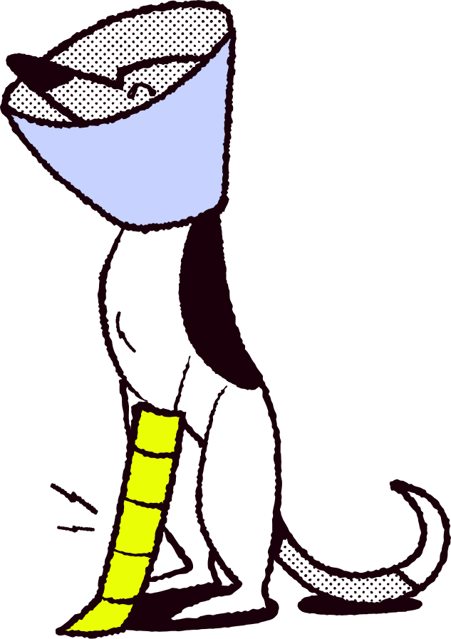 dog-cast-cone.png