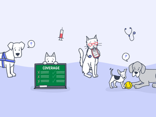 illustration of dogs and cats looking at the details about pet insurance