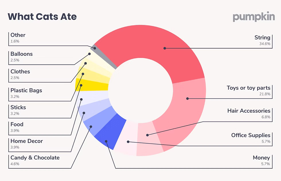 Donut chart showing the most common items ingested by cats that ended with a vet visit, titled "What Cats Ate" shows string (34.6%), toys (21.8%), hair accessories (6.8%), and more. 
