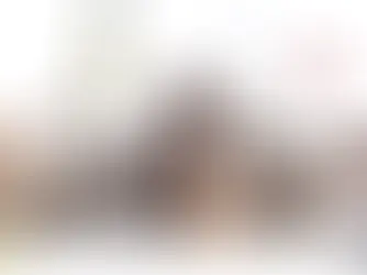 A group of cats with great names