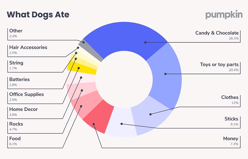 Donut chart showing the most common items ingested by dogs that ended with a vet visit, titled "What Dogs Ate" shows top items ingested by dogs. Largest sections: Candy & Chocolate (26.3%), Toys (20.4%), clothes (12%), Sticks (9.1%), and more
