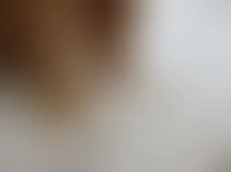 cat tearing up a couch cushion