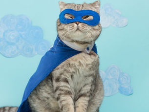 superhero cat standing proud with a cape and mask