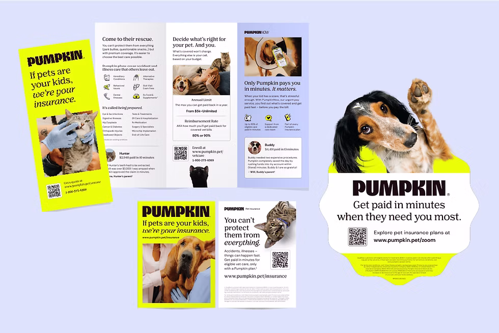 a selection of pumpkin print materials that veterinary hospitals can order for their offices,