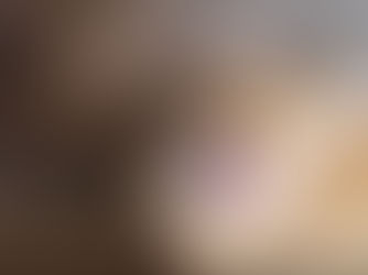 tabby cat meowing at camera