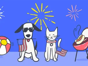 dog and cat enjoying a 4th of july bbq