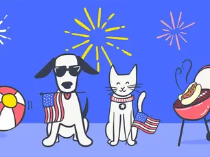 dog and cat enjoying a 4th of july bbq