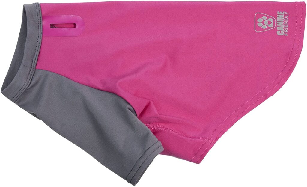 canine-friendly-uv-protection_summer-essentials-for-dogs