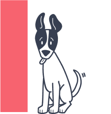 Dog-sticking-tongue-out-at-letter-i_pet-insurance-terms