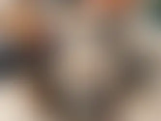 dogs behind the fence at a shelter