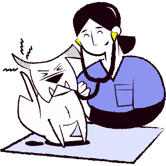 dog with itchy ear being examined by a vet
