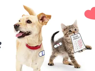 dog and cat holding up vaccine checklist