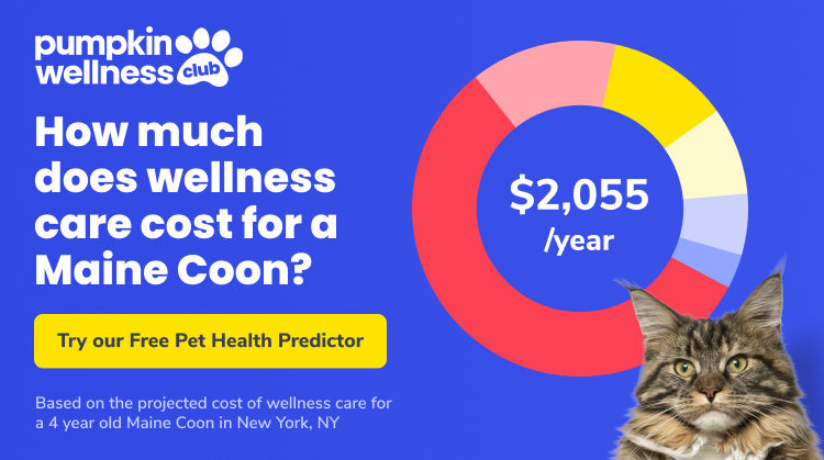 Graph showing that a Maine Coon costs $2,055/year for wellness care. Text reads Pumpkin Wellness Club, How much does wellness care cost for a Maine Coon? Try our Free Pet Health Predictor. Based on the projected cost of wellness care for a 4 year old male Maine Coon in New York, NY