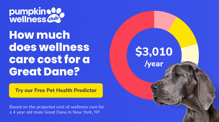 Graph showing that a great dane costs $3,010/year for wellness care. Text reads Pumpkin Wellness Club, How much does wellness care cost for a Great Dane? Try our Free Pet Health Predictor. Based on the projected cost of wellness care for a 4 year old male Great Dane in New York, NY