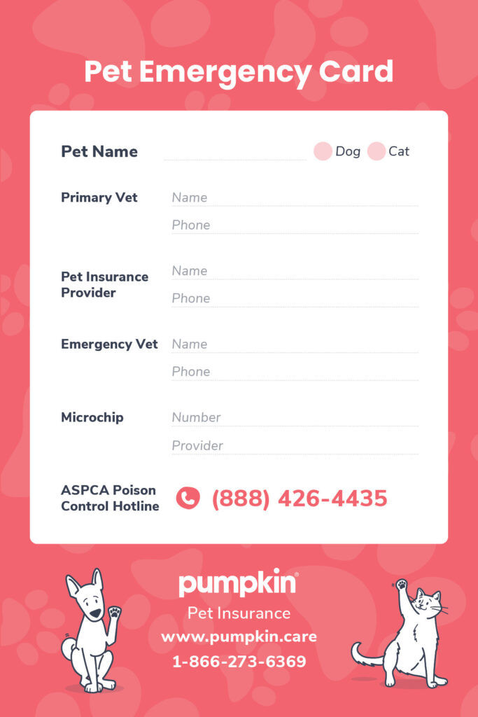 Pet Emergency Card template with sections for pet info, vets, and microchip. Red background, cartoon dog and cat, Pumpkin Pet Insurance details.