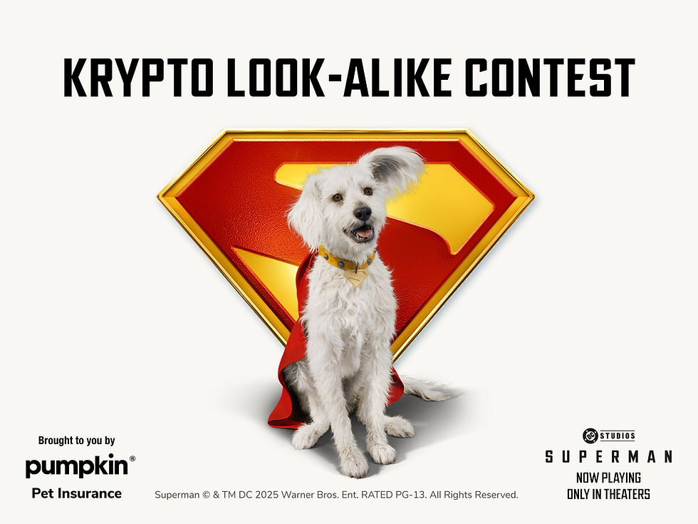 Krypto Look-alike contest