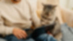 cat pointing to laptop with owner showing him how to buy pet insurance