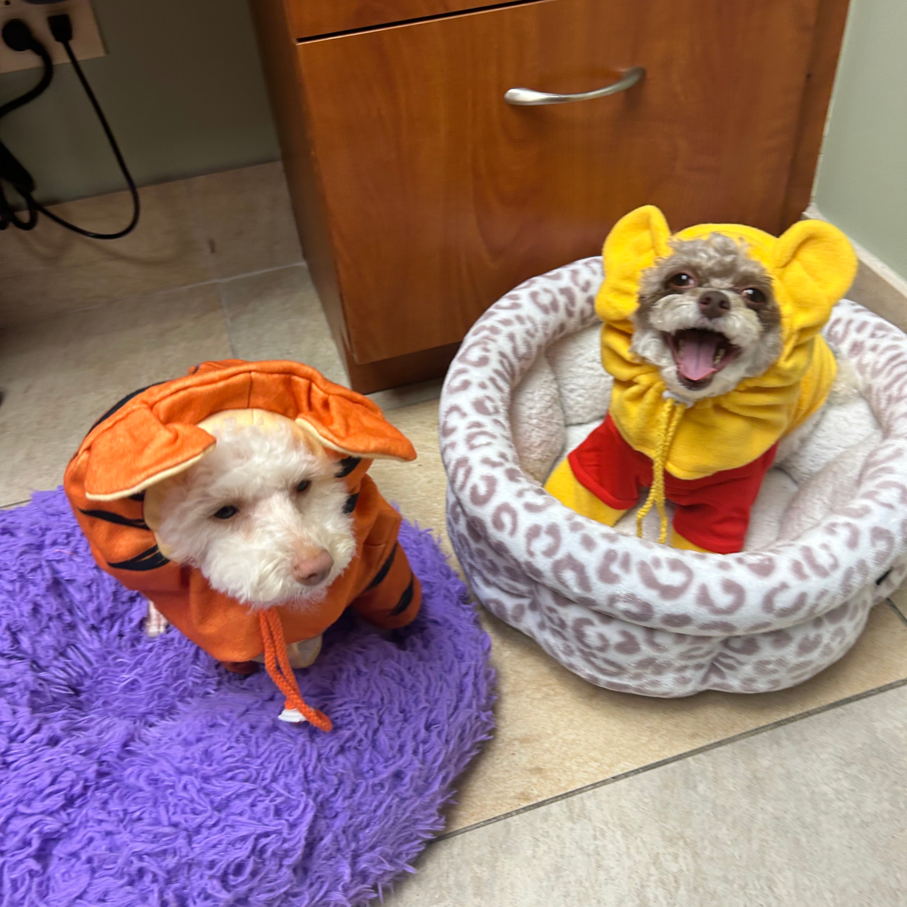 Two small dogs in Winnie the Pooh and tiger costumes sit on a bathroom floor by a cabinet, one yawning in a cozy bed.