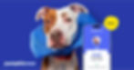 Pumpkin Pet Insurance Launches Pumpkin Now