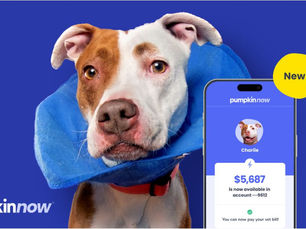 dog with a donut on next to a phone screen with a reimbursed claim thanks to pumpkin now