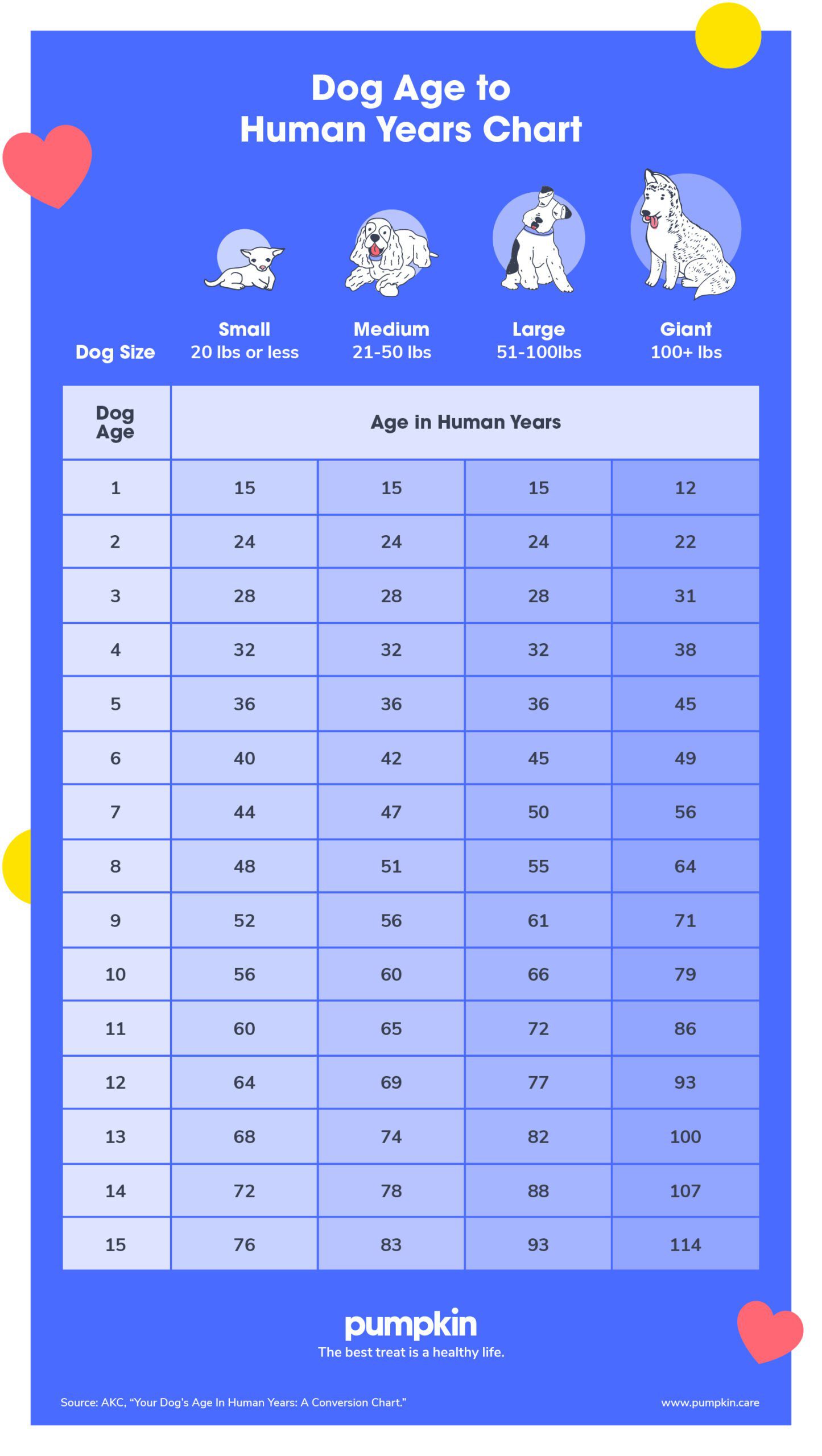 Dog Conversion Age Chart