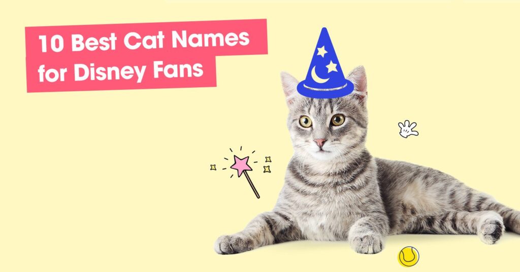 graphic with text that reads '10 best cat names for disney fans'