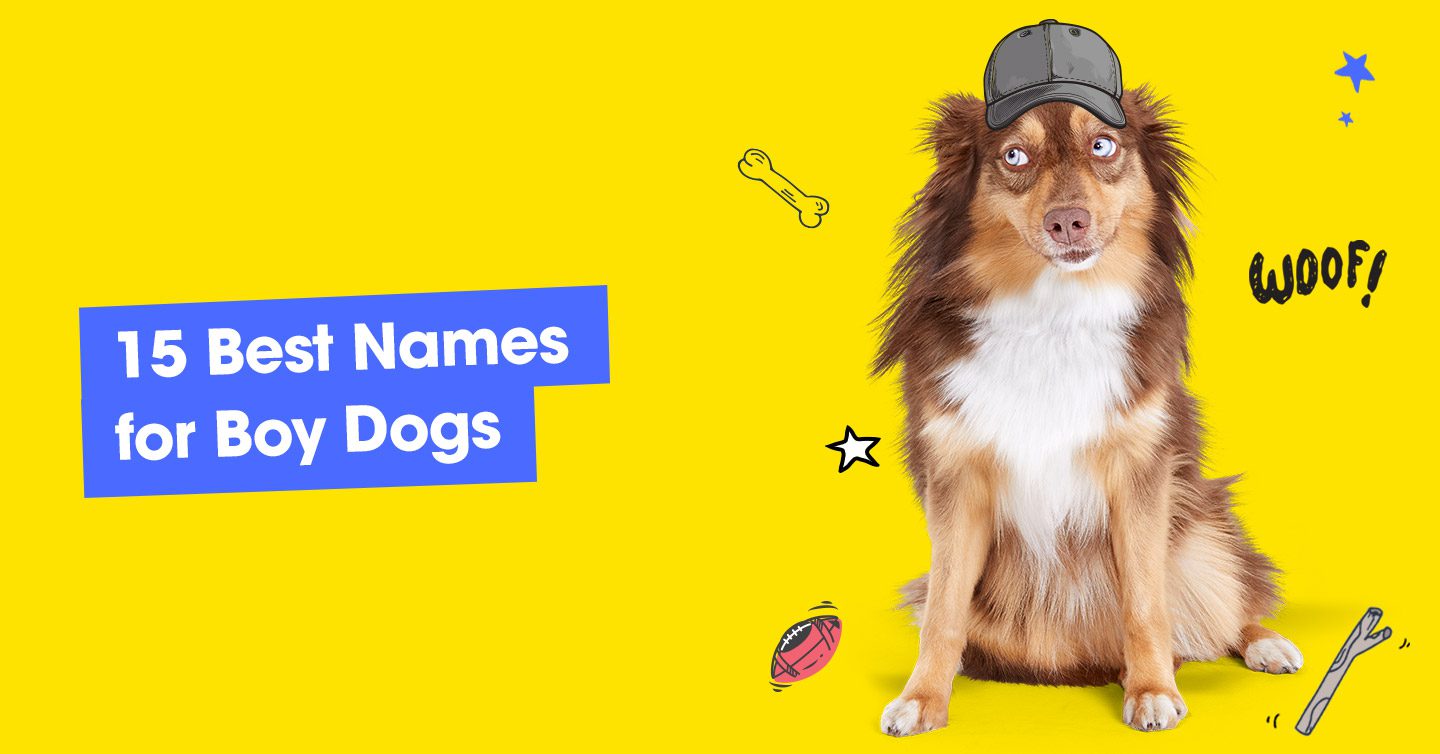 120 Pawesome Dog Names That Stand Out From The Pack - Pumpkin®