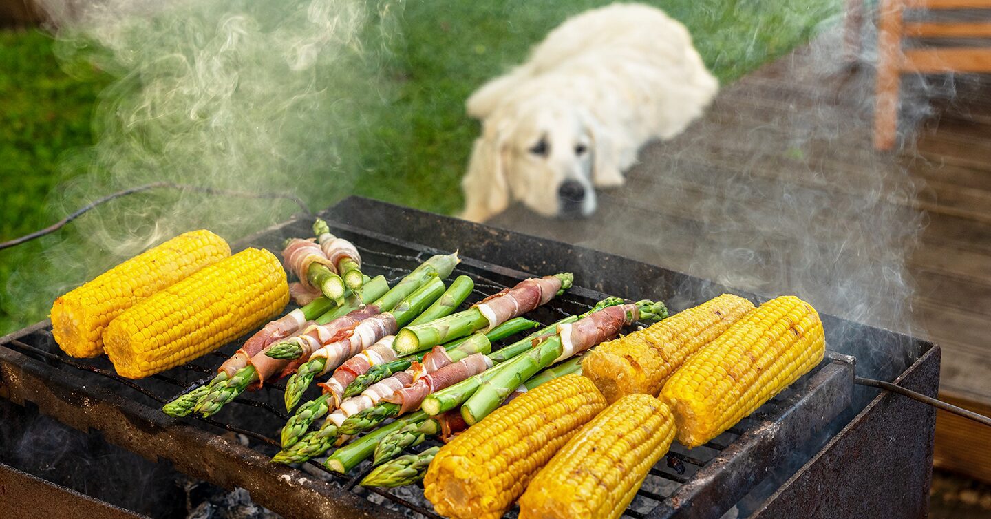 Is asparagus safe for dogs hotsell