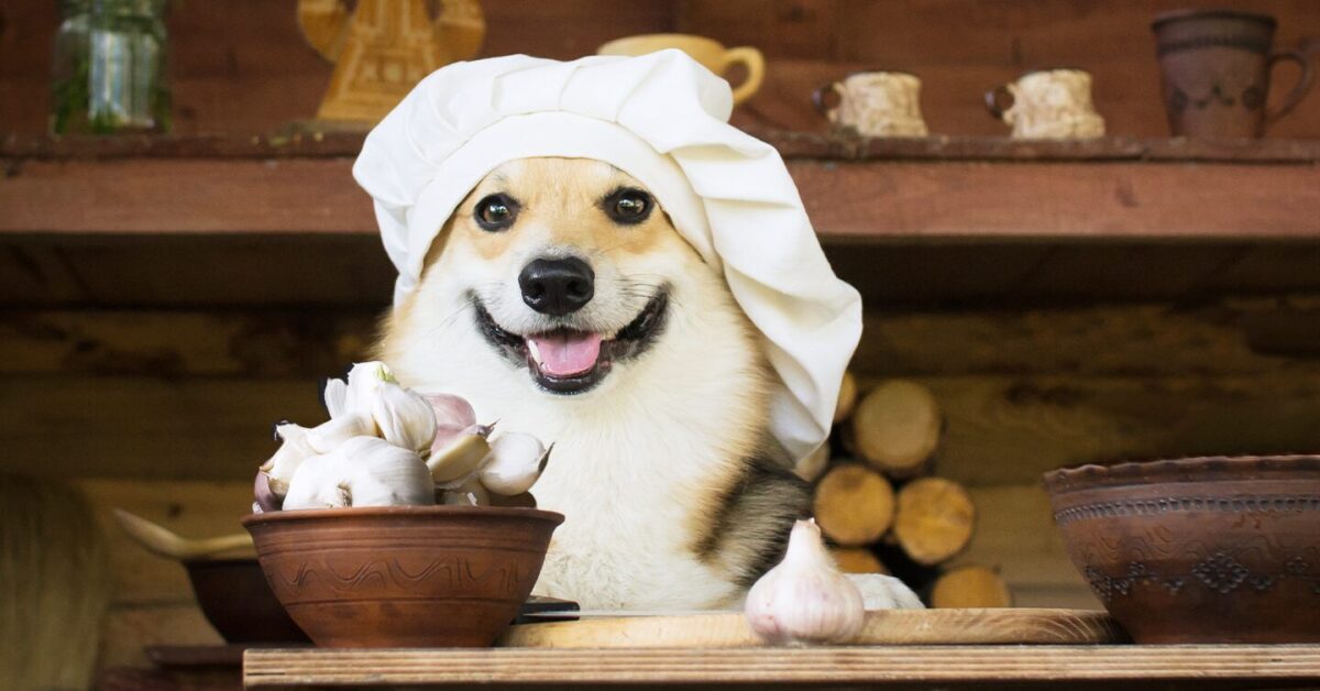 Can Dogs Eat Garlic? No – It's Generally Unsafe - Pumpkin®