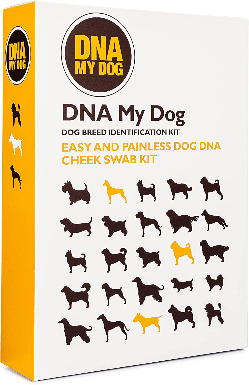 dna-my-dog_dog-dna-test