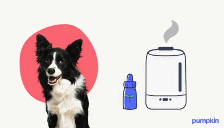 Dog next to an essential oil diffuser