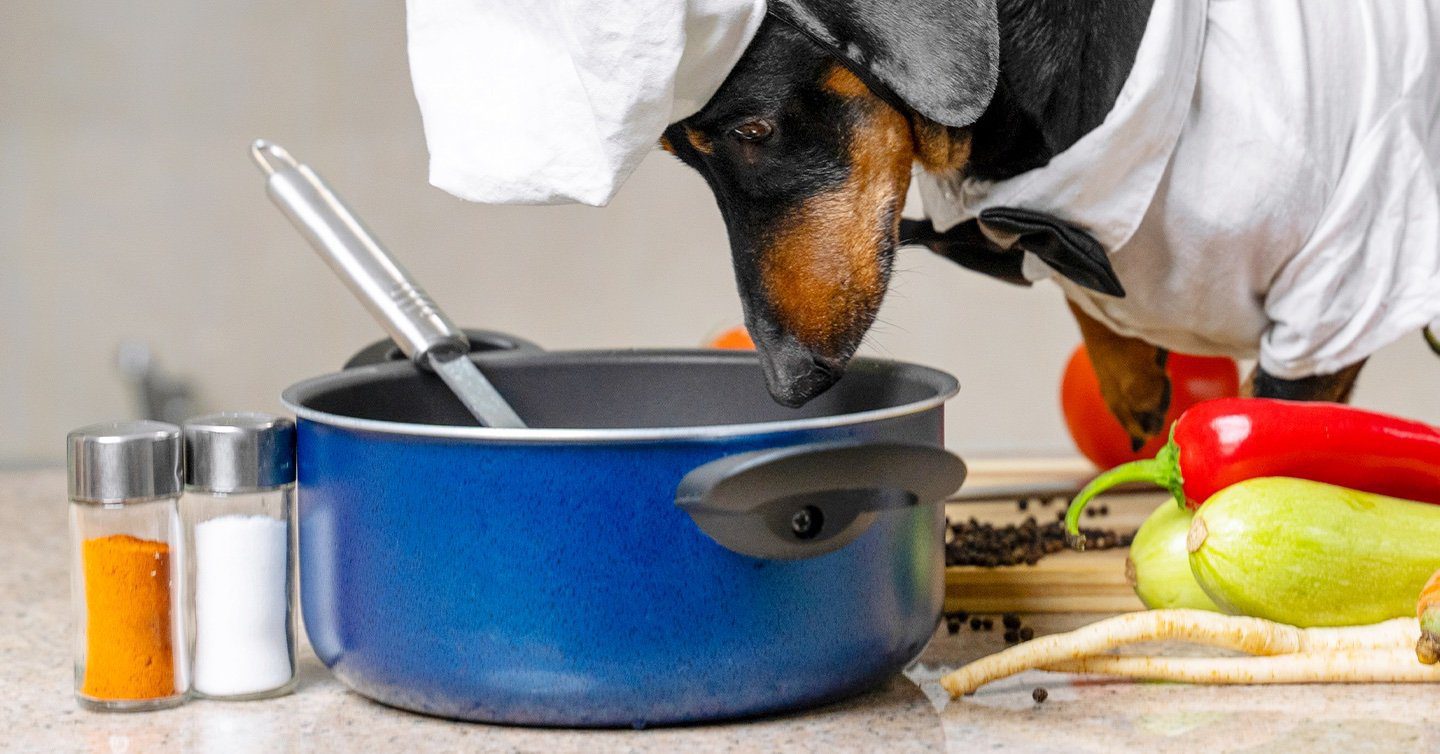 do dogs need salt in homemade food