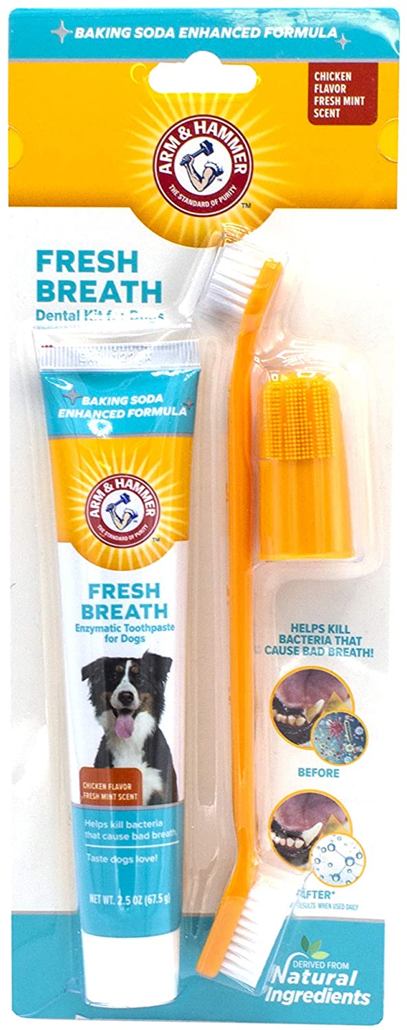 dental-kit_dog-christmas-stocking-stuffers