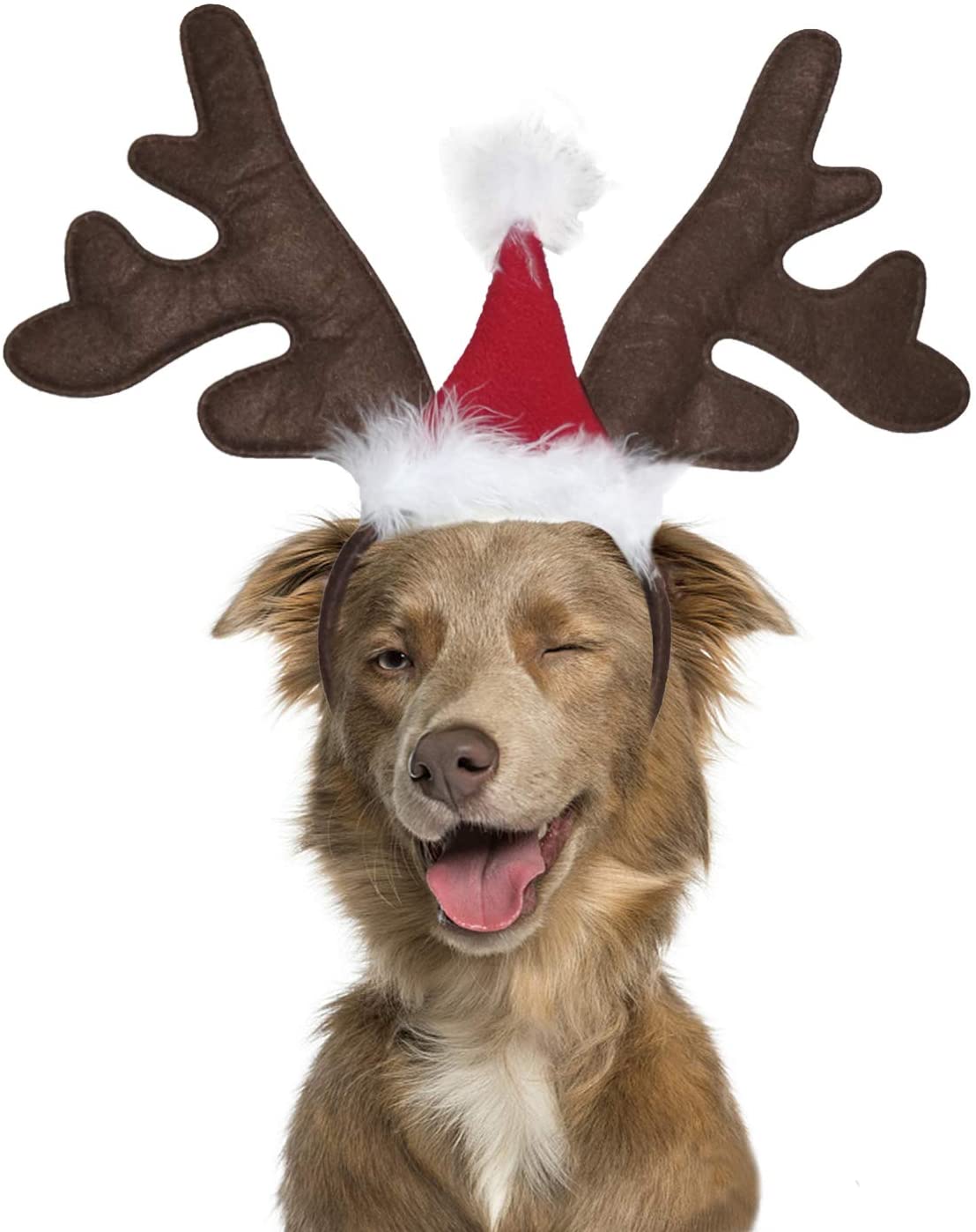reindeer-antlers_dog-christmas-stocking-stuffers