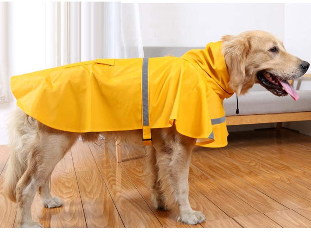 dog-raincoat_best-dog-jackets