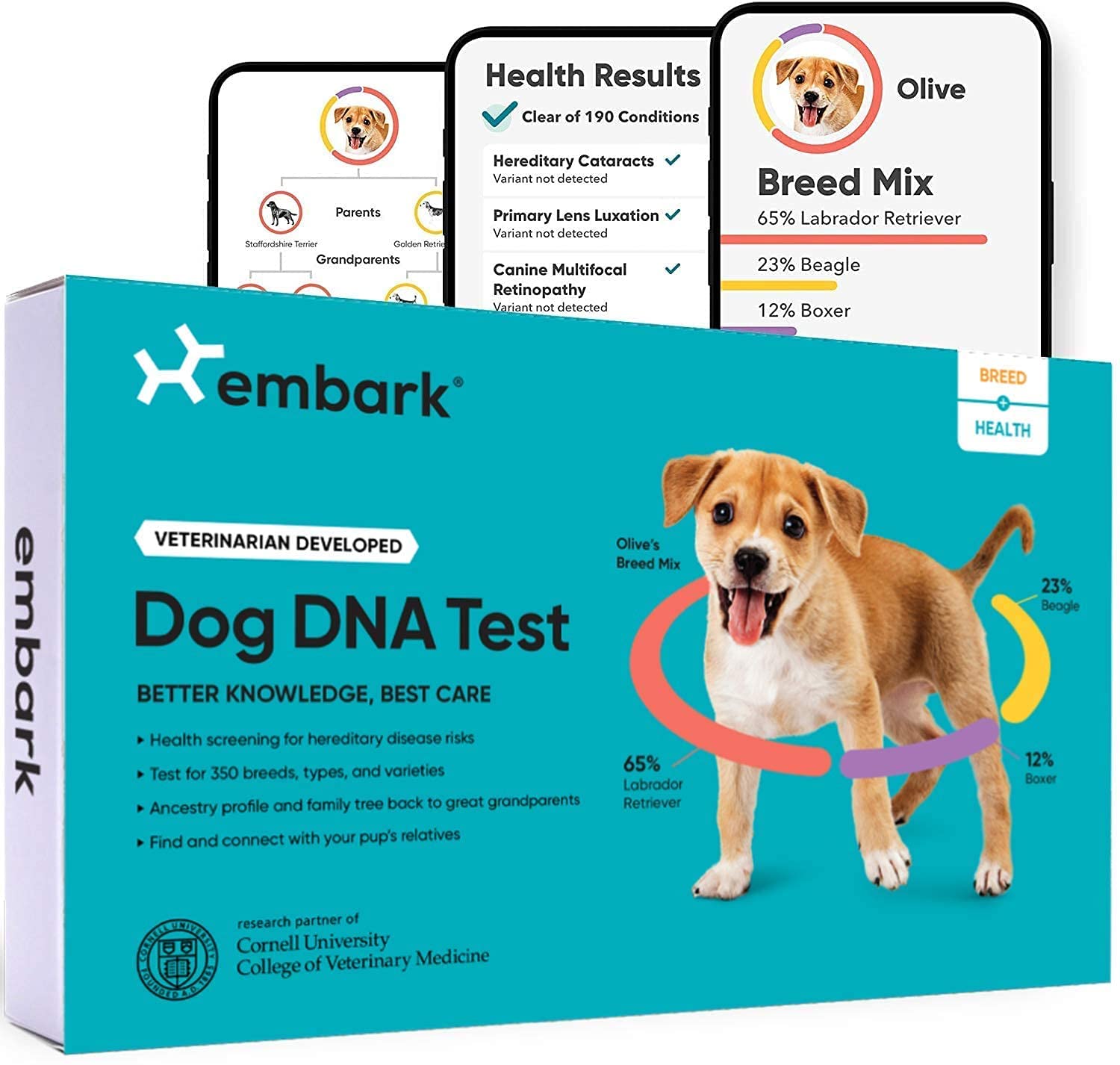  The Best Dog DNA Test Kits: 2022 Buyers Guide