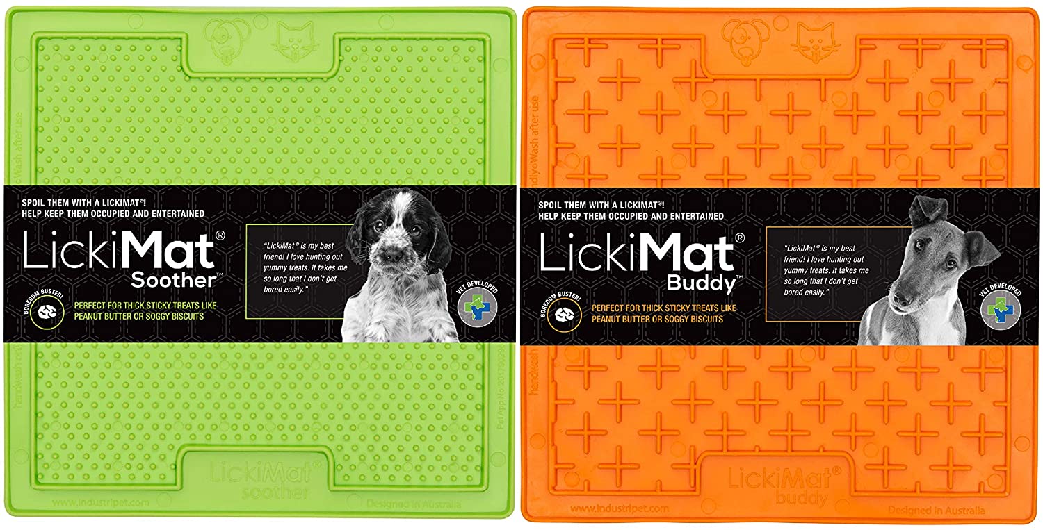 19 Christmas Stocking Stuffers Your Dog Will Love Pumpkin
