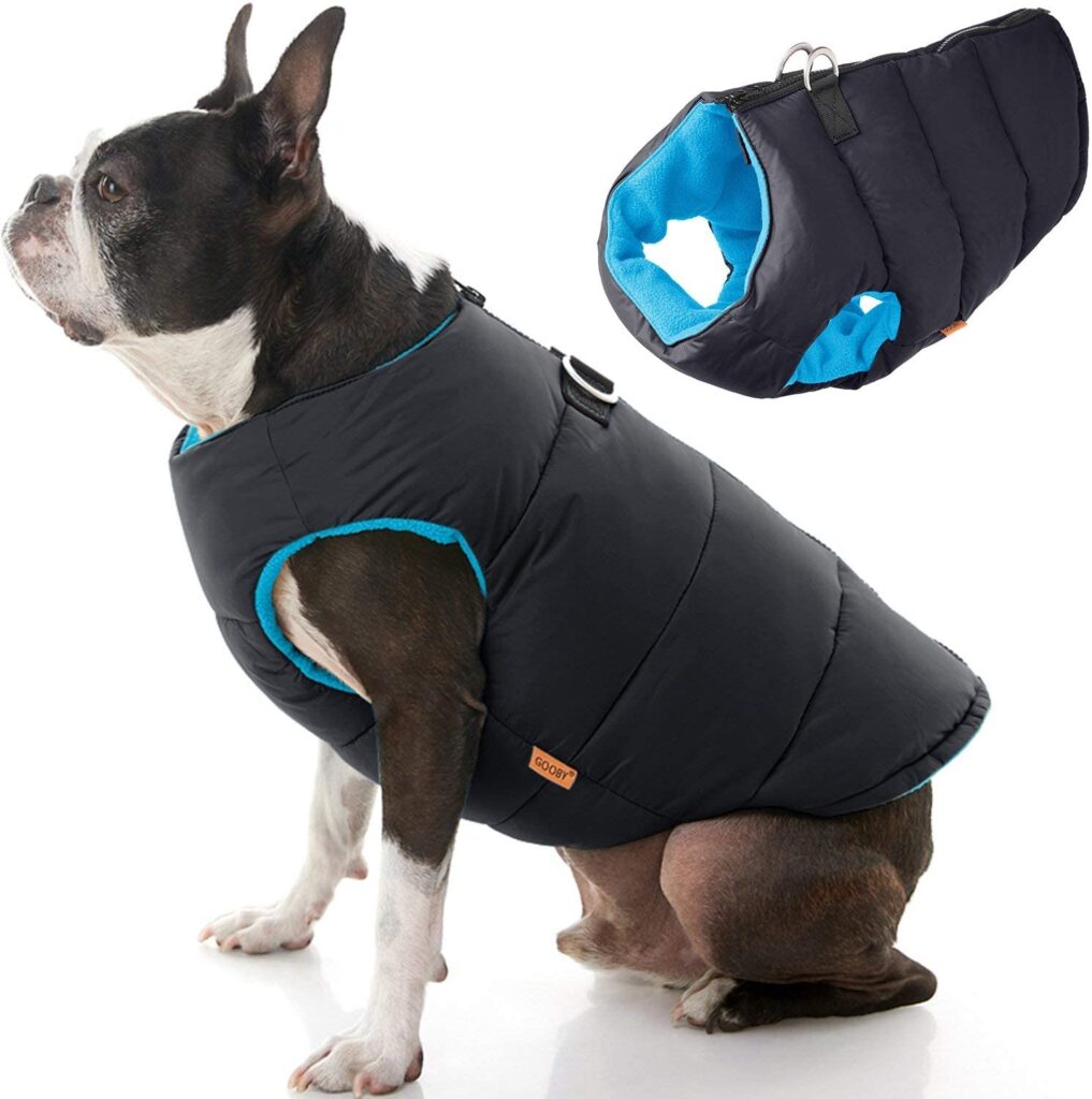 padded-dog-vest_best-dog-jackets
