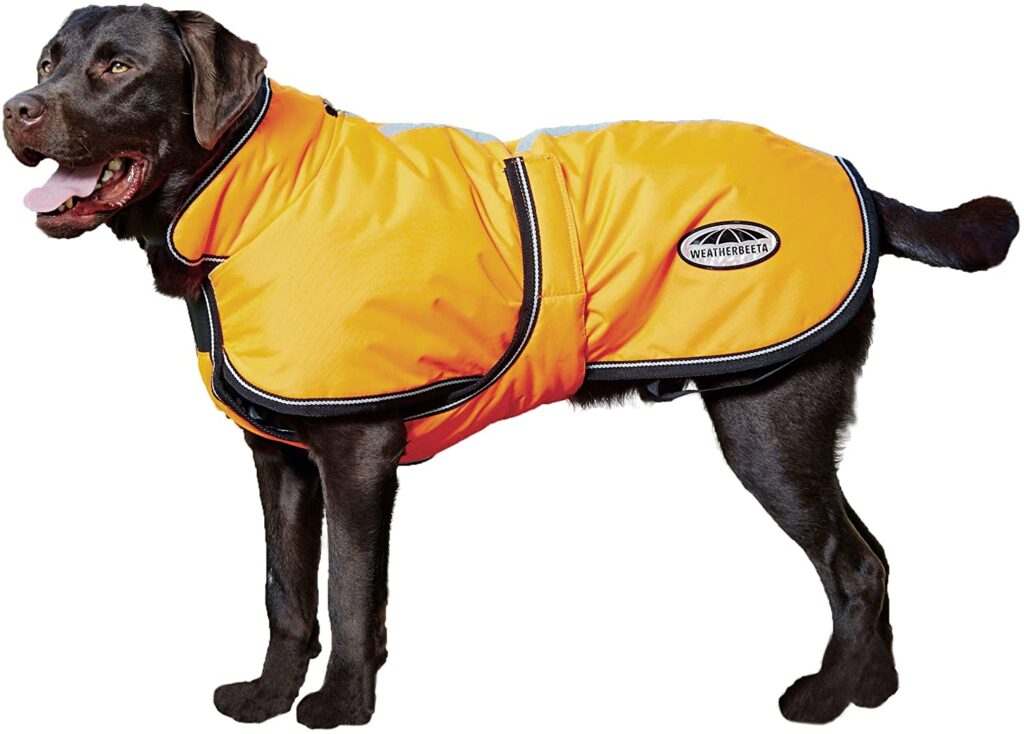 reflective-parka_best-dog-jackets