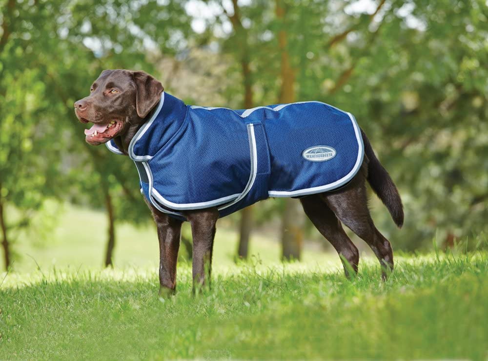 deluxe-parka_winter-dog-coats