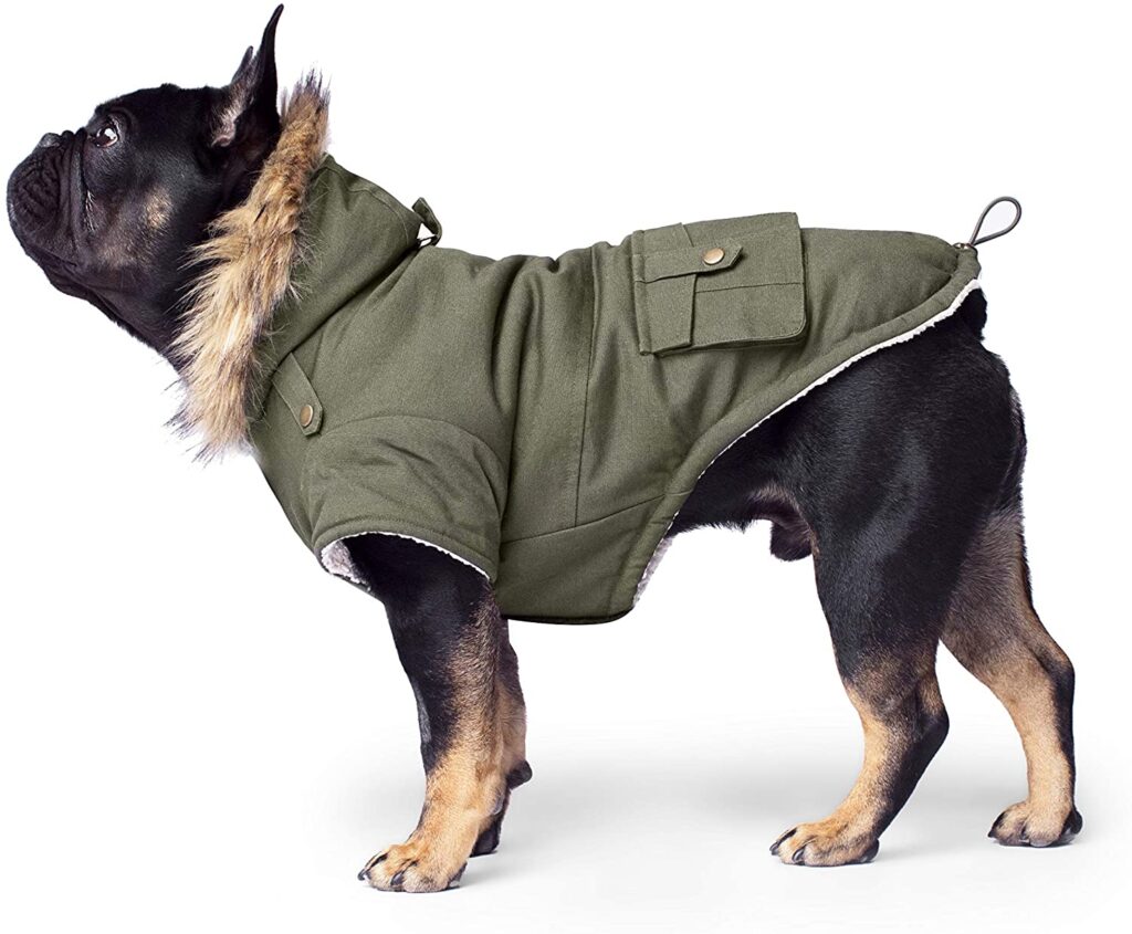 faux-fur-coat_winter-dog-coats