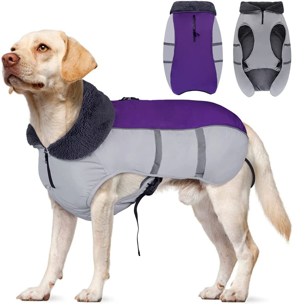 plush-collar-coat_winter-dog-coats